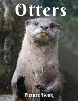 Bertrand.pt - Otters Picture Book