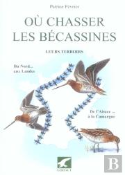 Ou Chasser Les Becassines