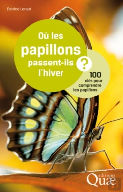 Bertrand.pt - Où Les Papillons Passent-Ils L'Hiver ?