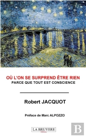 Où L'On Se Surprend Être Rien : Parce Que Tout Est Conscience