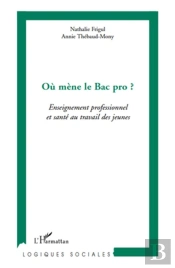 Où Mène Le Bac Pro ? Enseignement Professionnel Et Santé Au Travail Des Jeunes