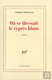 Où Se Dressait Le Cyprès Blanc