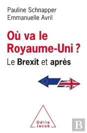 Où Va Le Royaume-Uni ? ; Le Brexit Et Après