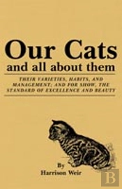 Our Cats And All About Them