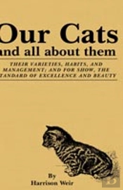 Our Cats And All About Them