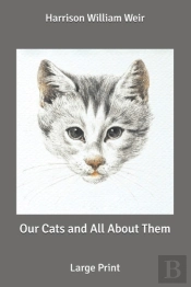 Our Cats And All About Them