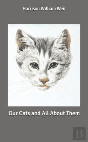 Our Cats And All About Them