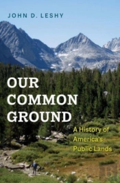 Our Common Ground