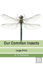 Our Common Insects