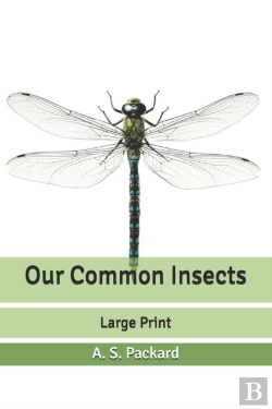 Bertrand.pt - Our Common Insects