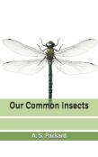Our Common Insects