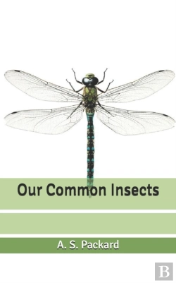Bertrand.pt - Our Common Insects