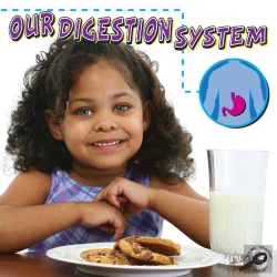Bertrand.pt - Our Digestion System