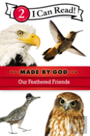 Our Feathered Friends