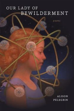 Bertrand.pt - Our Lady Of Bewilderment