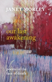 Our Last Awakening