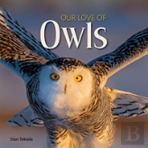 Our Love Of Owls