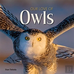 Bertrand.pt - Our Love Of Owls