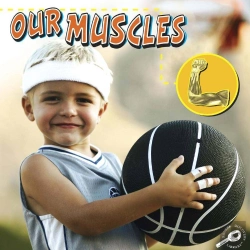 Bertrand.pt - Our Muscles