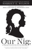 Our Nig; Or, Sketches From The Life Of A Free Black