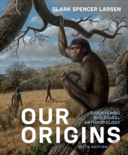 Bertrand.pt - Our Origins