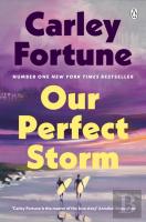 Our Perfect Storm