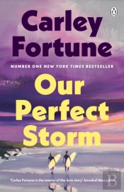 Our Perfect Storm