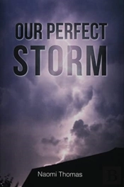 Our Perfect Storm
