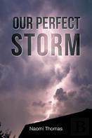 Our Perfect Storm