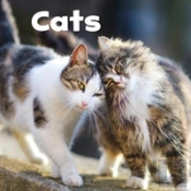 Our Pets Pack A Of 6