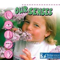 Bertrand.pt - Our Senses