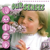 Our Senses
