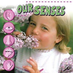Bertrand.pt - Our Senses
