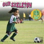 Our Skeleton