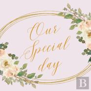 Our Special Day, Wedding Guest Book To Sign (Hardback)