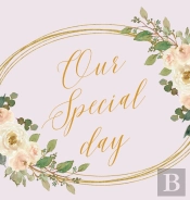 Our Special Day, Wedding Guest Book To Sign (Hardback)