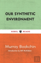 Our Synthetic Environment