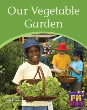 Our Vegetable Garden