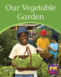 Bertrand.pt - Our Vegetable Garden