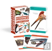 Our World In Pictures Dinosaurs And Other Prehistoric Creatures Flash Cards
