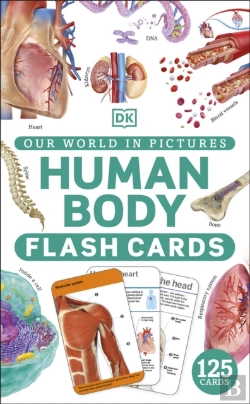 Bertrand.pt - Our World In Pictures Human Body Flash Cards