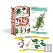 Our World In Pictures Trees Of The World Flash Cards