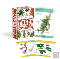 Bertrand.pt - Our World In Pictures Trees Of The World Flash Cards