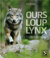 Ours, Loup, Lynx, Ils Sont De Retour