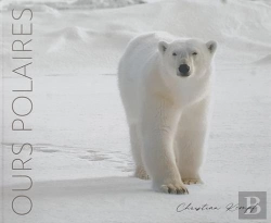 Bertrand.pt - Ours Polaires