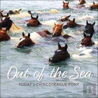 Out Of The Sea