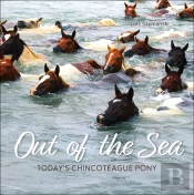 Out Of The Sea