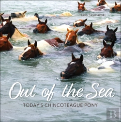 Bertrand.pt - Out Of The Sea