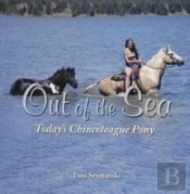 Out Of The Sea, Todayâ€™S Chincoteague Pony