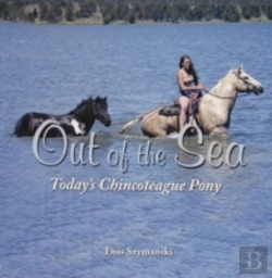 Bertrand.pt - Out Of The Sea, Todayâ€™S Chincoteague Pony
